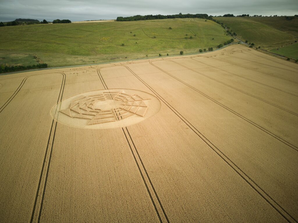 crop circle vista aerea