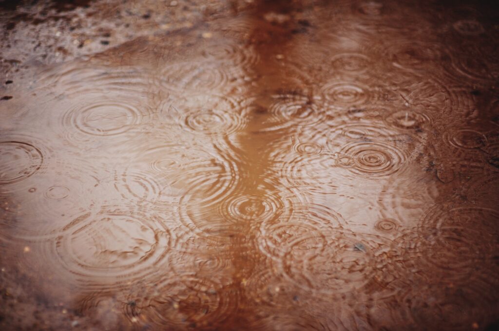 lluvia en otoño