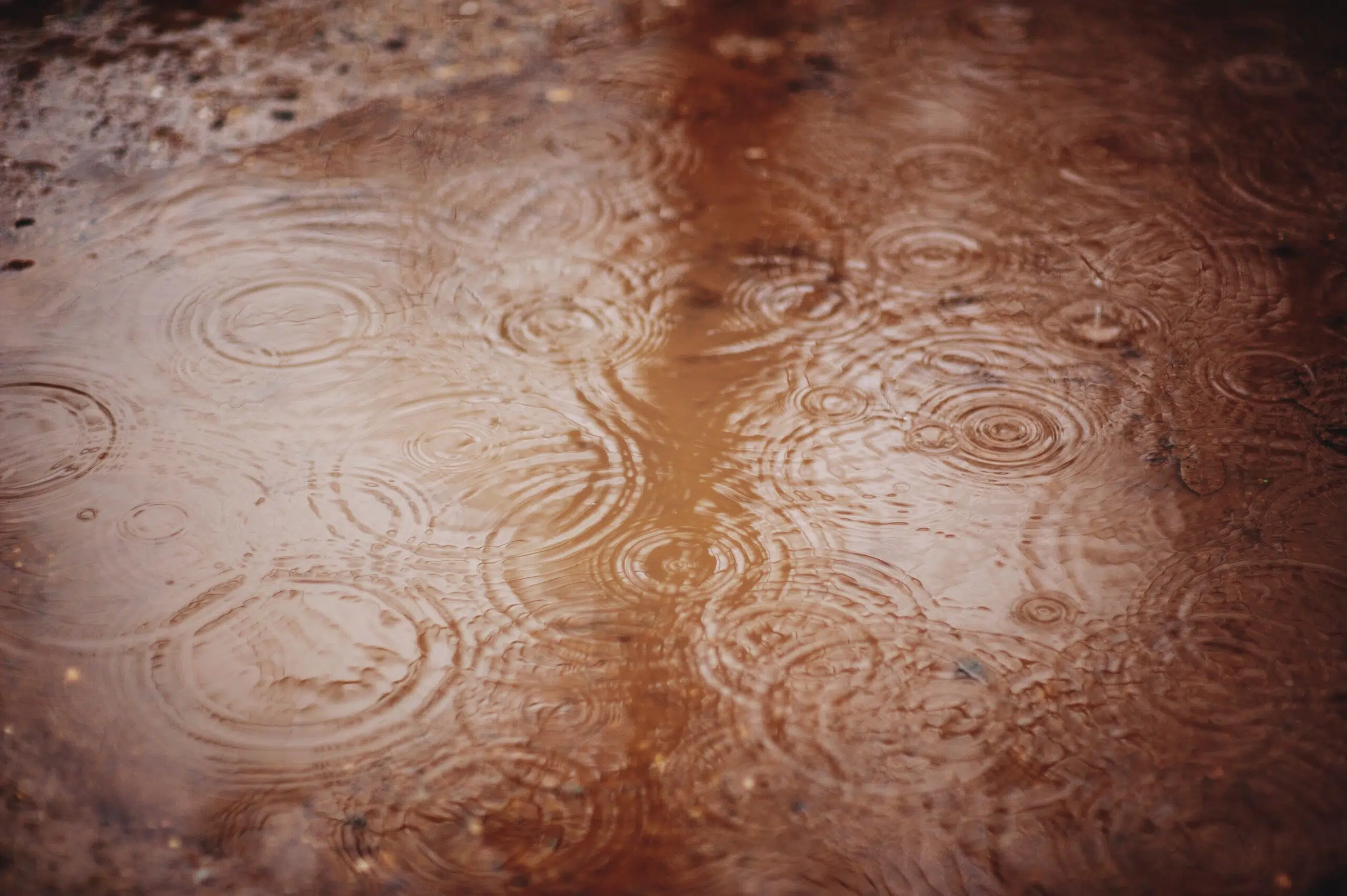lluvia en otoño