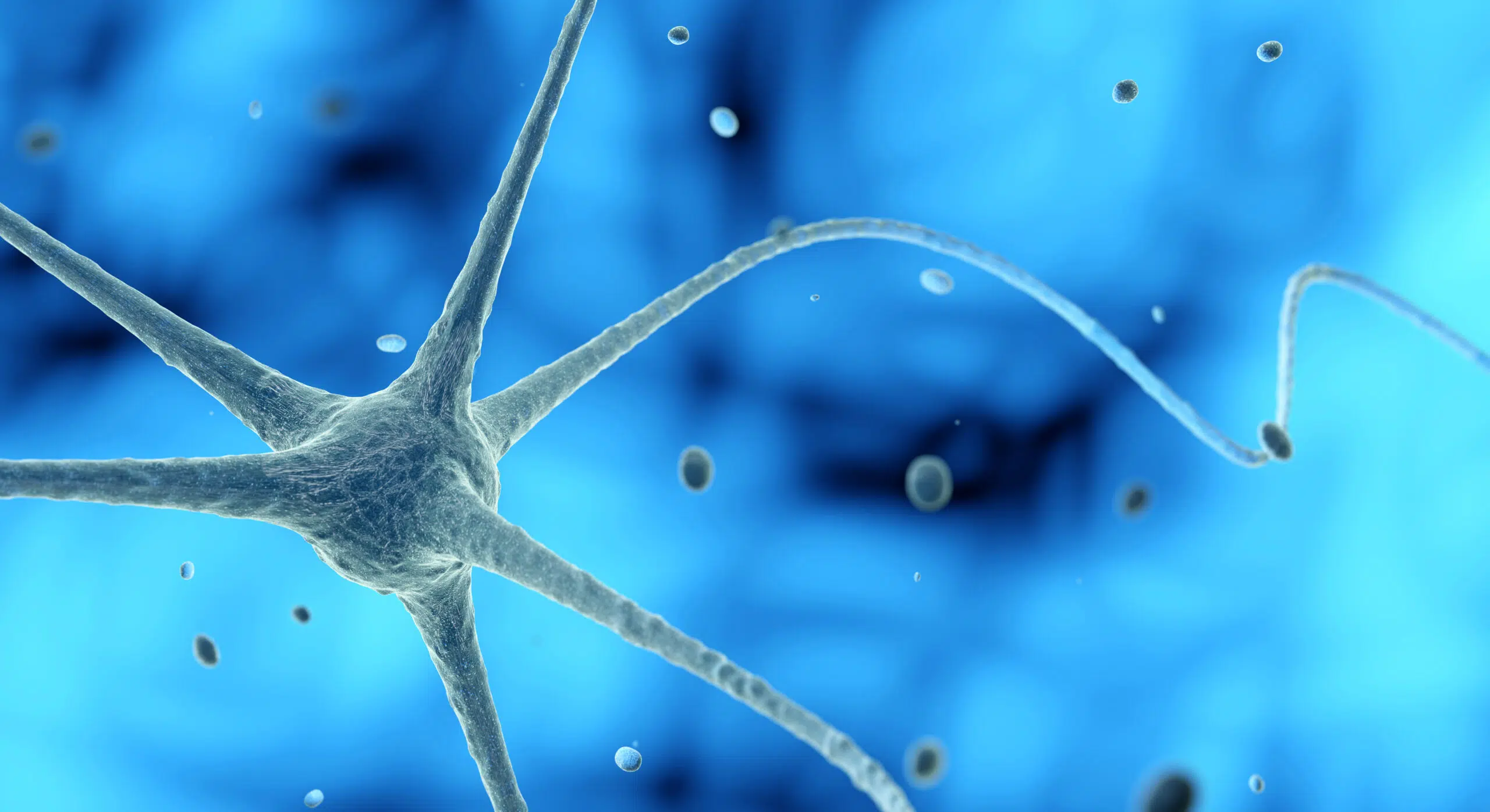 imagen neurona
