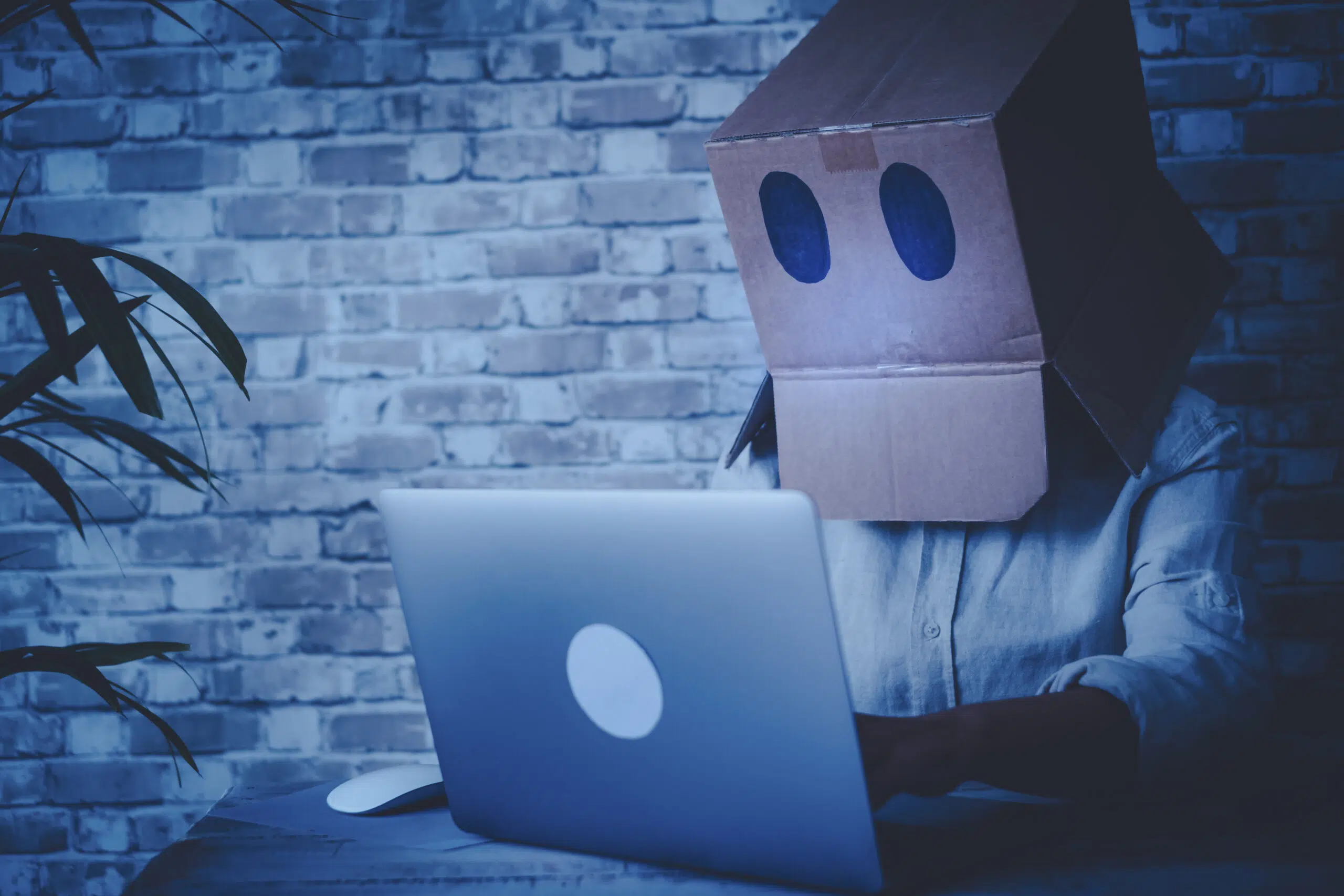 privacidad navegando por internet